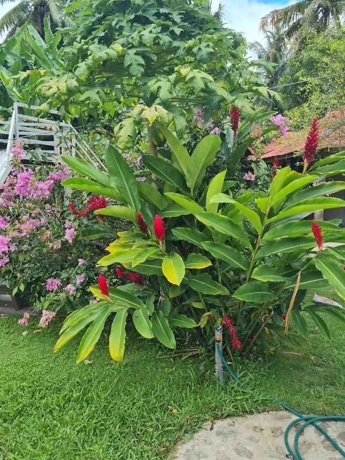 Villa Sonrisa casa de huespedes Las Terrenas